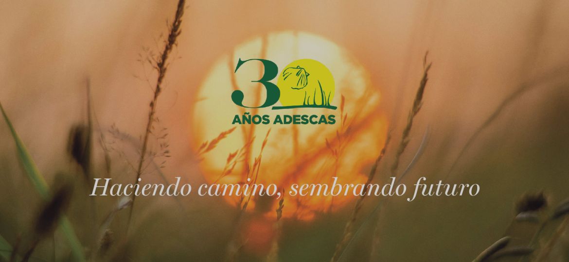 adescas-30-aniversario-carrusel