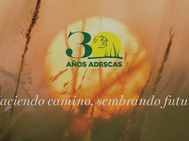 adescas-30-aniversario-carrusel